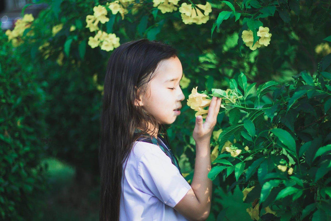 All About Montessori Life Science in Preschool - Hometessori