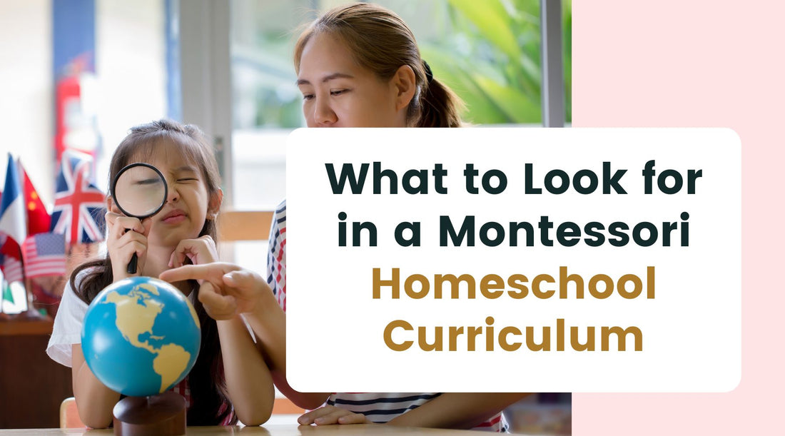 What to Look for in a Montessori Homeschool Curriculum