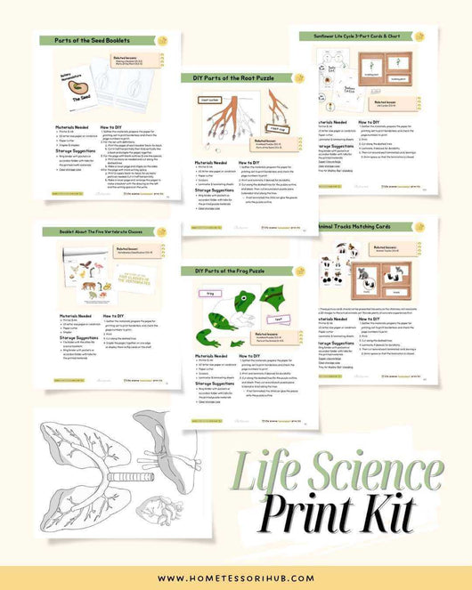 Hometessori Life Science Manual & Print Kit - Montessori Life Science Album and Printables