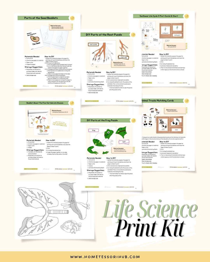 Hometessori COMPLETE: Montessori Curriculum & Printables